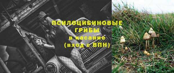 стаф Протвино