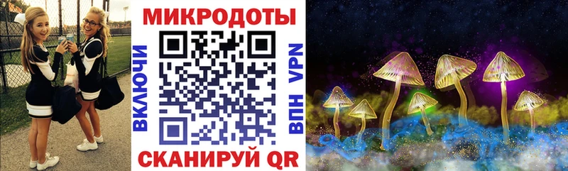 Купить где  Приморско-Ахтарск  Псилоцибиновые грибы MAGIC MUSHROOMS 
